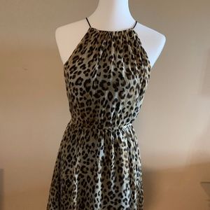 Handkerchief Hem Leopard Print Dress NWT